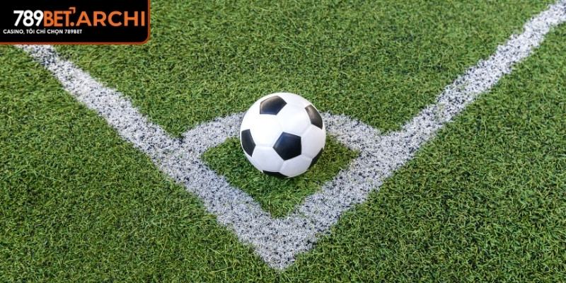 Thuật ngữ cần nắm chắc 